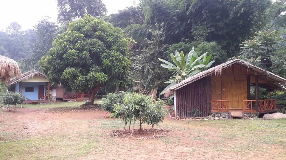 Doo-Dao-Doi Farm & Stay Chiang Dao Exteriér fotografie