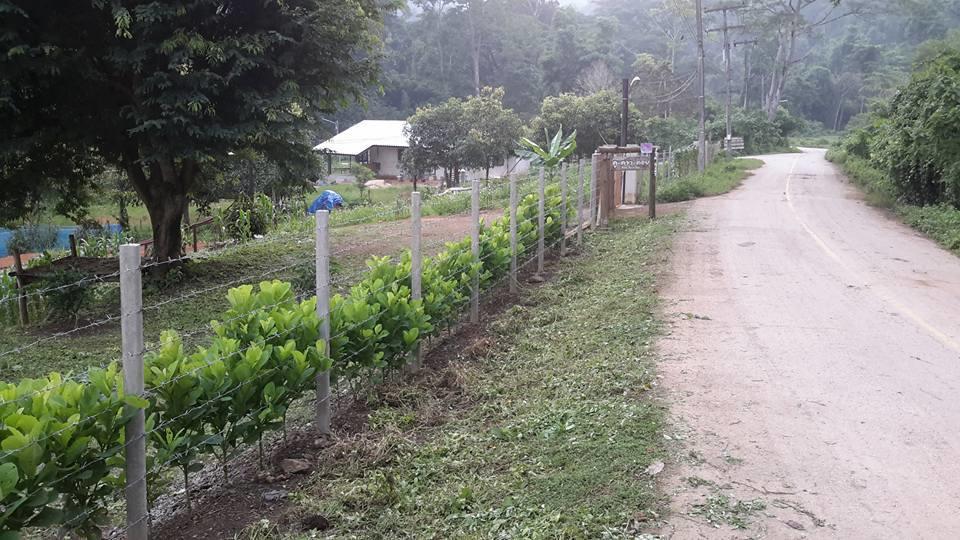 Doo-Dao-Doi Farm & Stay Chiang Dao Exteriér fotografie